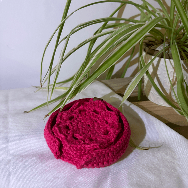 Set of 4 coasters and holder - Pink