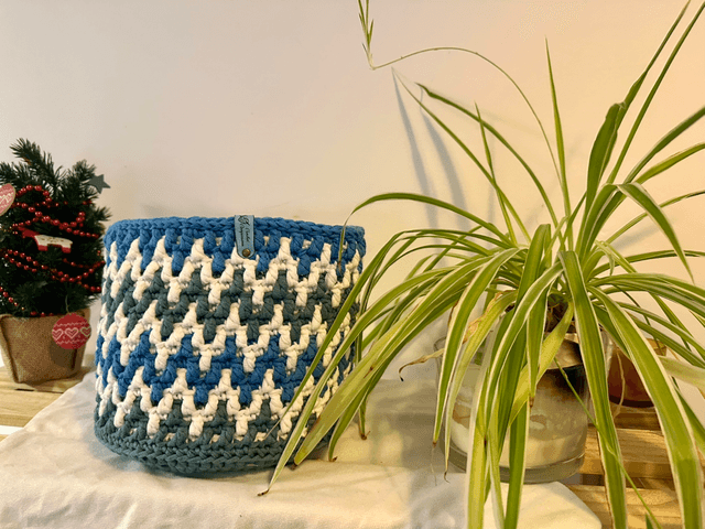 Handmade Crochet Basket/Plant Cover